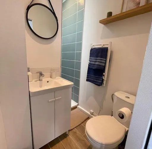 L'elegant Du Grecourt Appartamento Tours